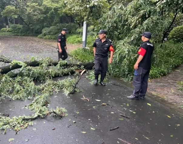 C:/Users/BA/Desktop/風(fēng)雨過后南京保安迅速行動，恢復(fù)安“寧”面貌/7.jpg7